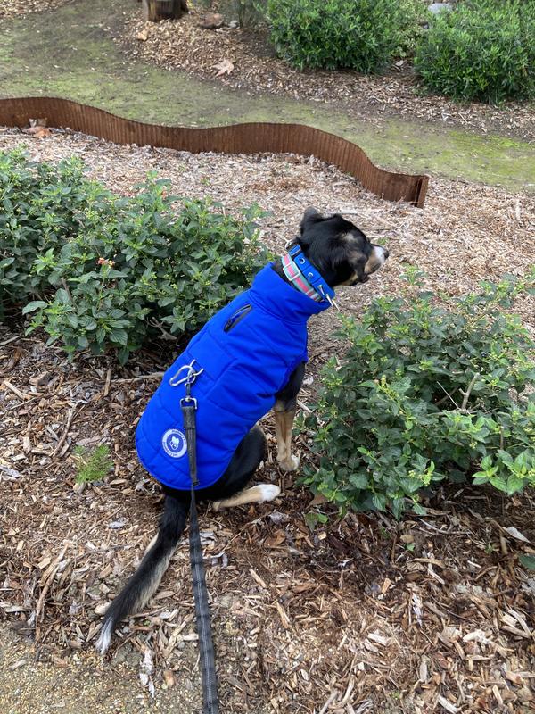 Warm during chilly morning