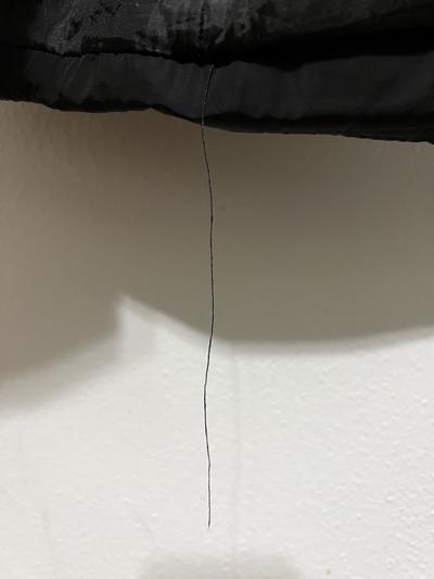 One of a few pieces of hanging thread