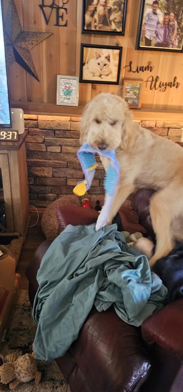 Customer carousel item 1.