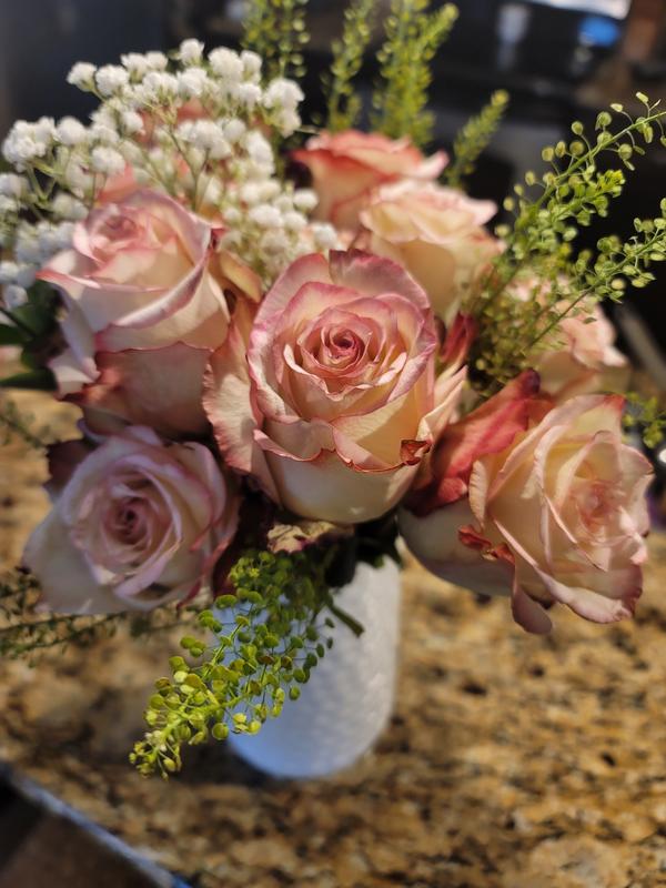 Food Lion Replacements