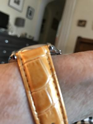 Photo from SanddraLH