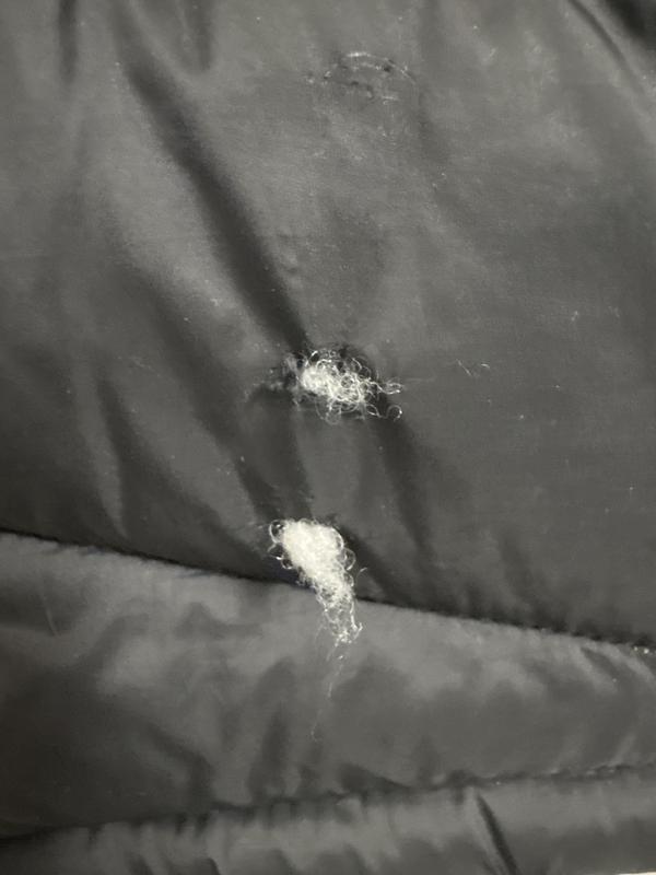 As you see, the stuffing is already starting to come out