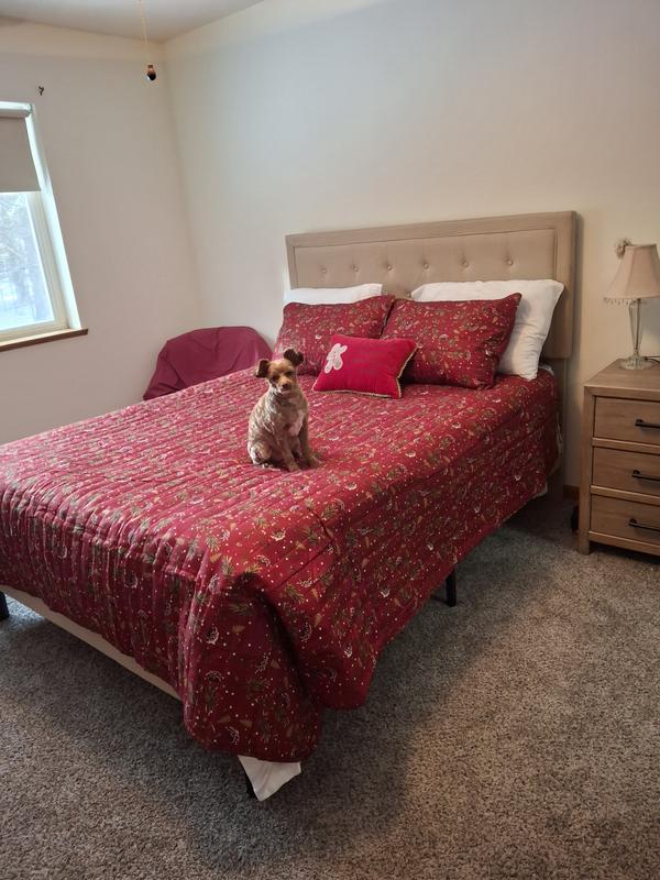 Perfect! Toby approved too!