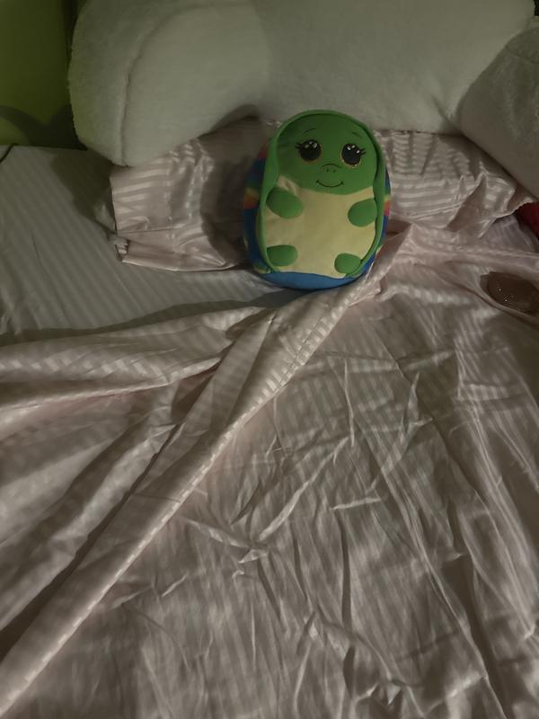 Turtles bedtime