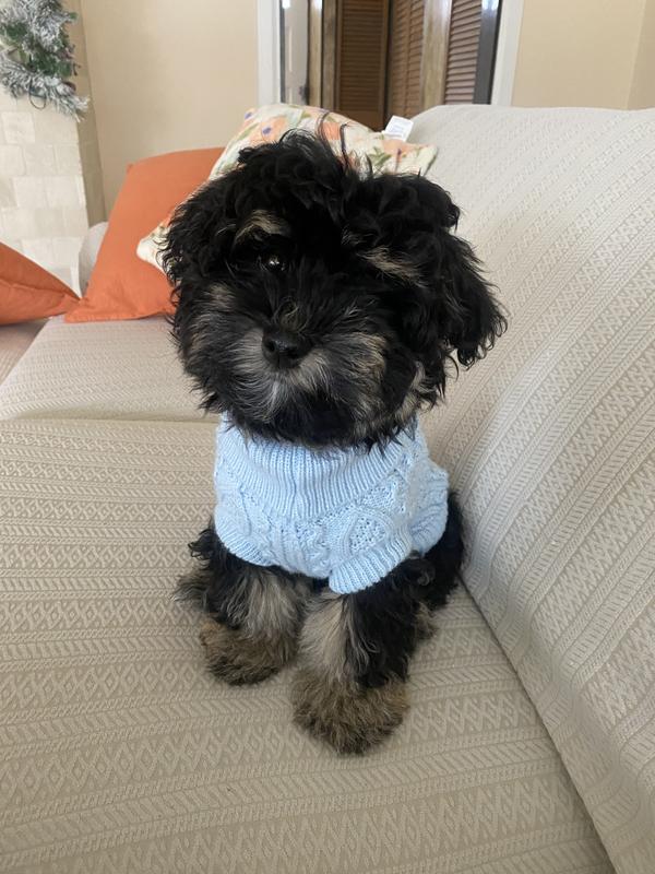 Photo from Shopper