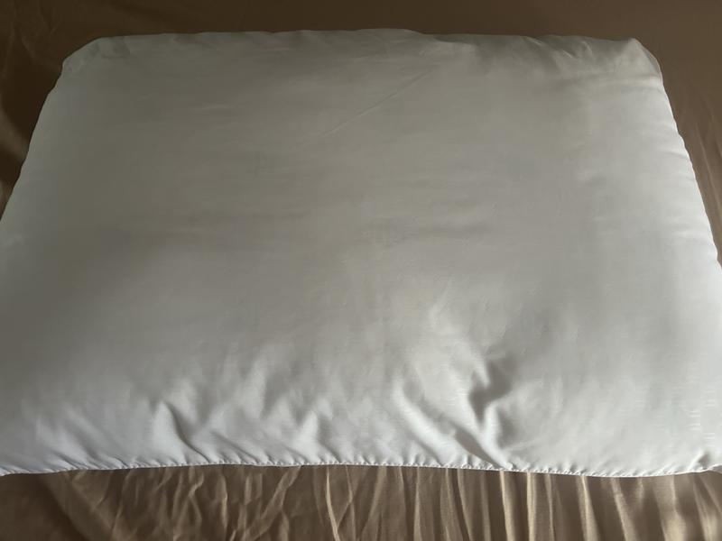 Logo Medium Density 2-Pack Down Alternative Pillow, Standard/Queen