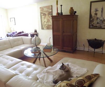 Ollie recommends the Alessia sectional