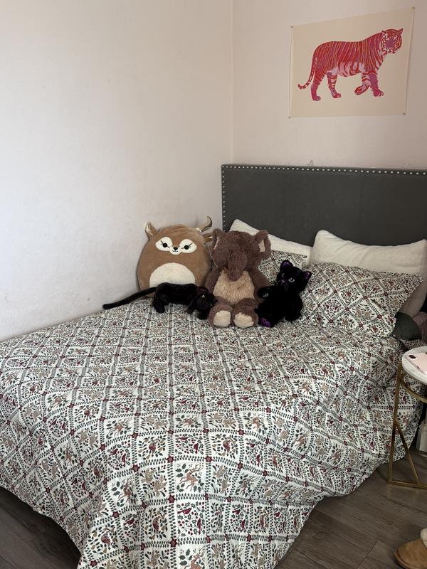 Photo from Lol