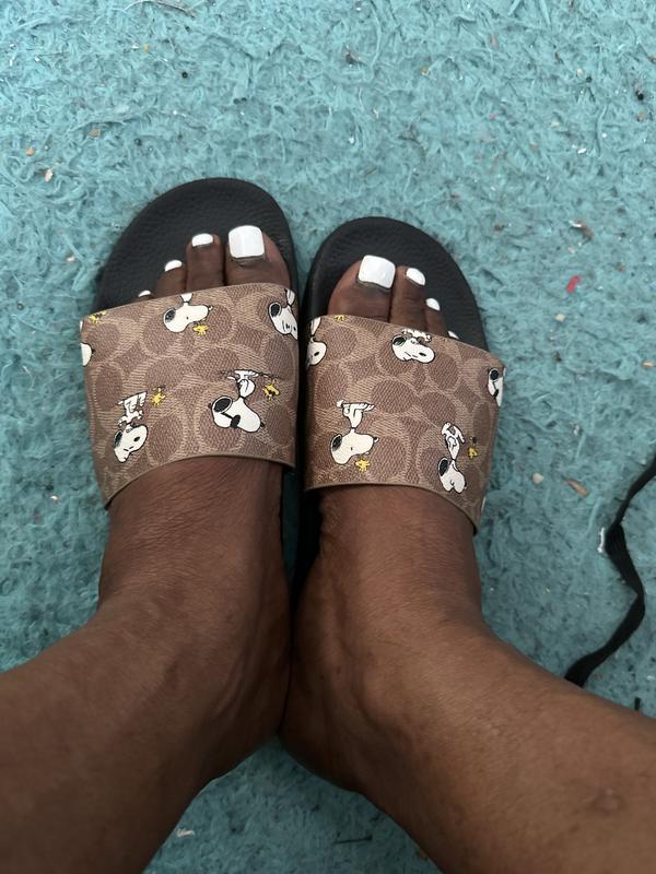 【直営店】coach★X PEANUTS ユーデル スポーツ スライド ladies COACH Women's Udele Peanuts Sport Slide Sandals - Macy's
