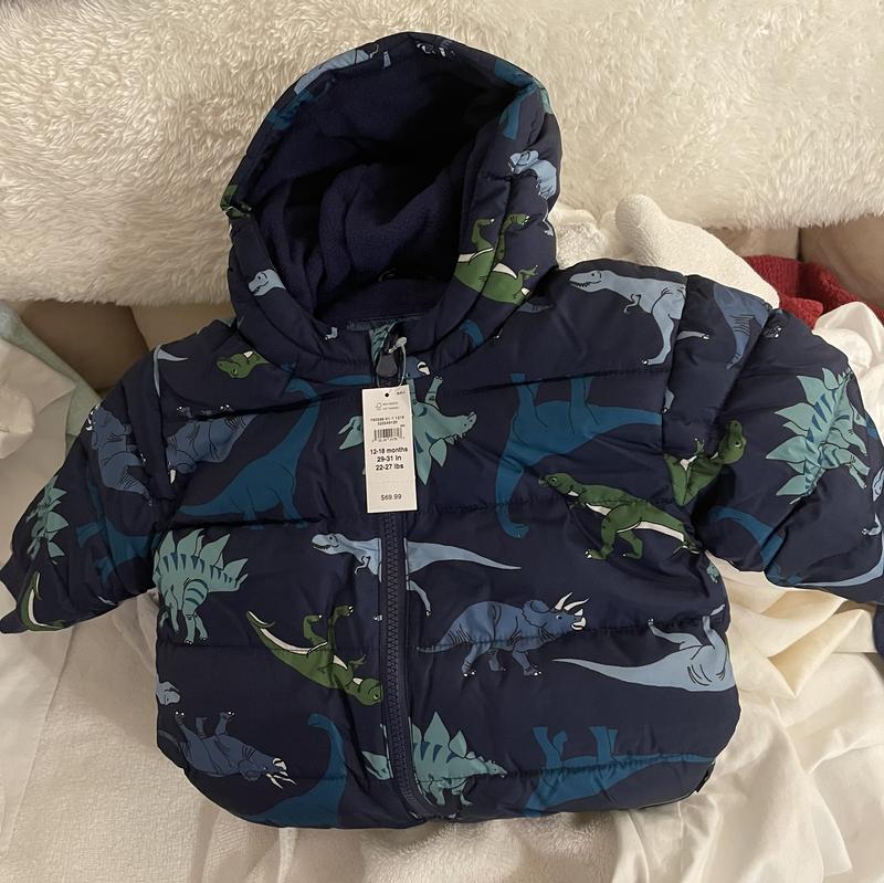 Big discount dinosaur puffer jacket.