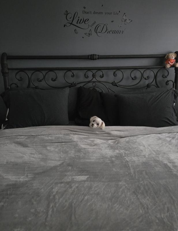 Customer carousel item 9.