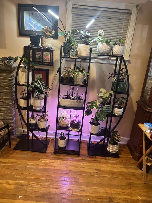 Photo from Macy's customer