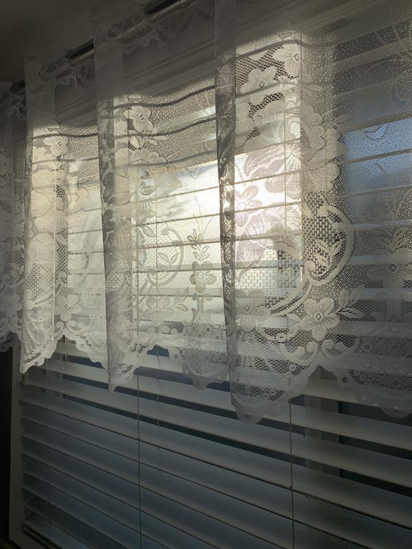 Sunshine today.  ♥️