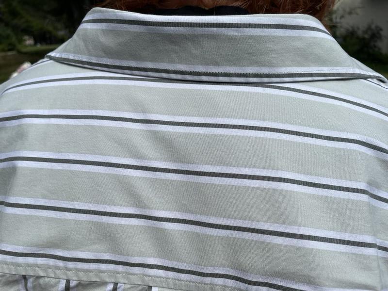 Horizontal stripes on the upper back are a nice detail.