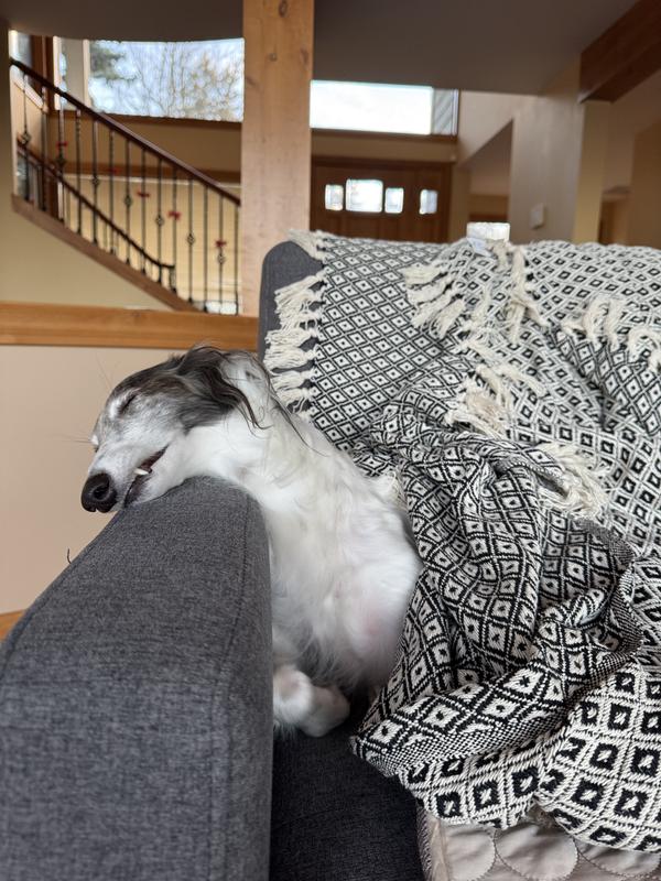 Emmy approved throws