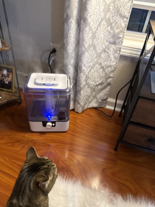 Customer carousel item 4.