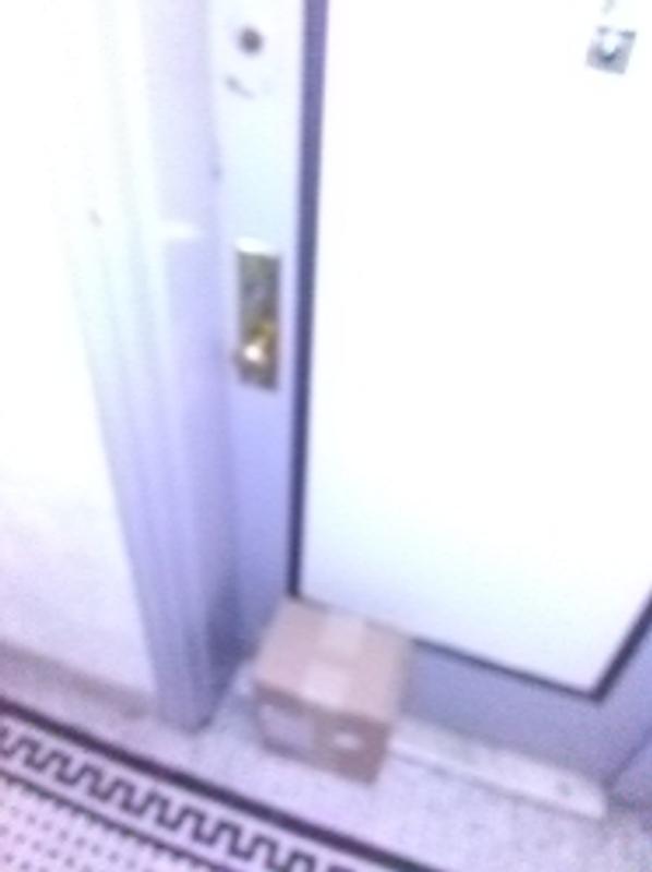 Door package delivered to