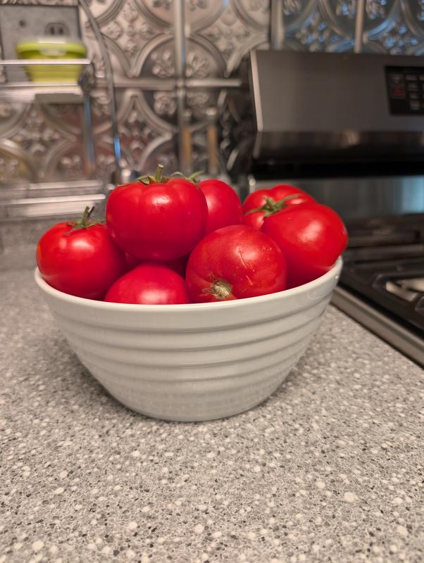Fit the final tomato harvest of the season in one bowl.