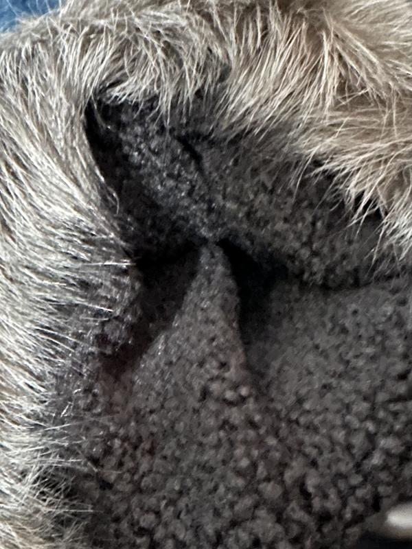 Inside of fur trimmed hood