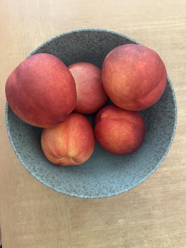 Photo from GrapeApe