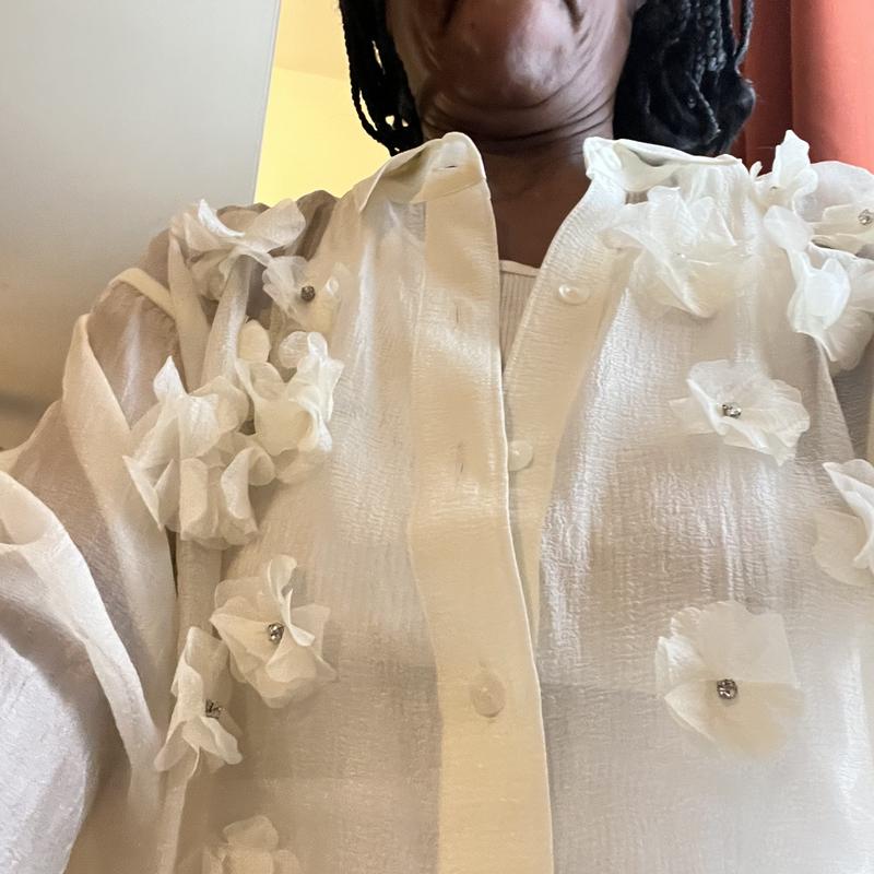 Beautiful sheer blouse