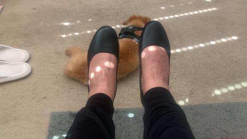 Photo from Macy's customer