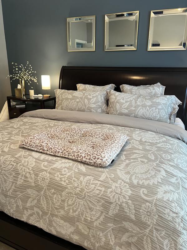 Please excuse the dog bed!