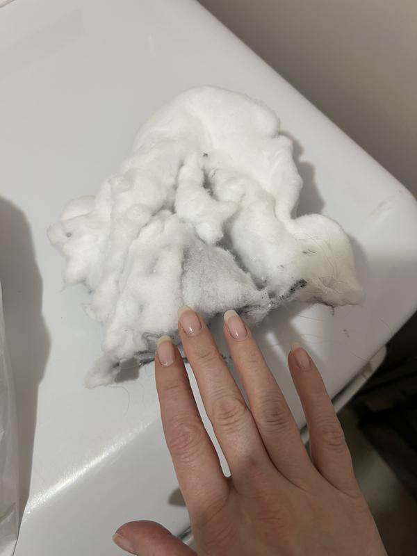 Lint