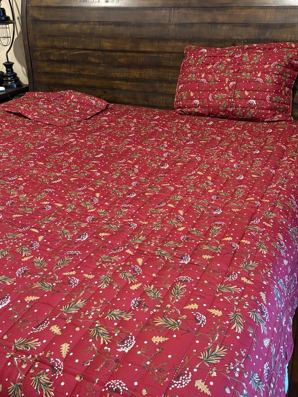 Pillow Shams are standard size with ample room