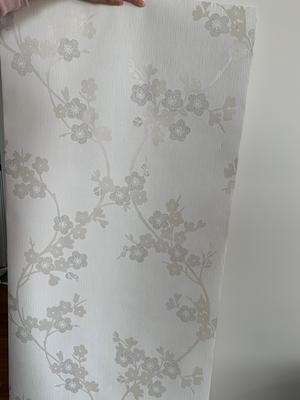 Photo from Zijing