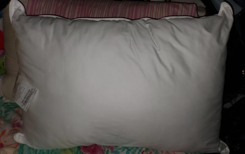 The pillow itself without a cover