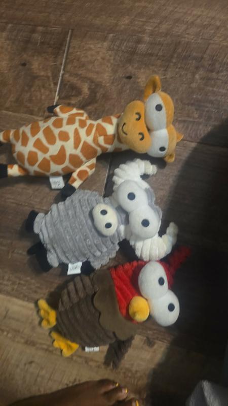Customer carousel item 5.