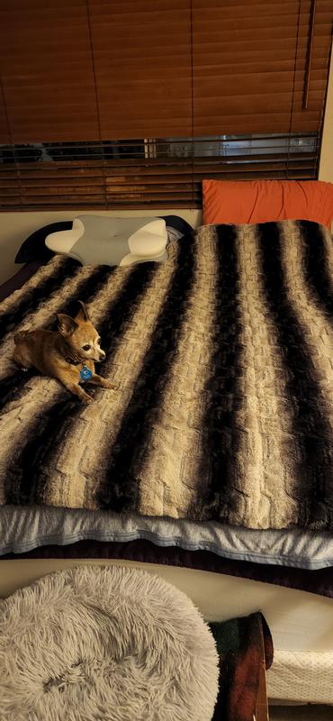 Blanket in queen size bed. My dog Lucy loves it too