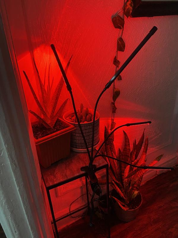 Dartwood LED Grow Lights for Indoor Plants with Red Blue Spectrum ...