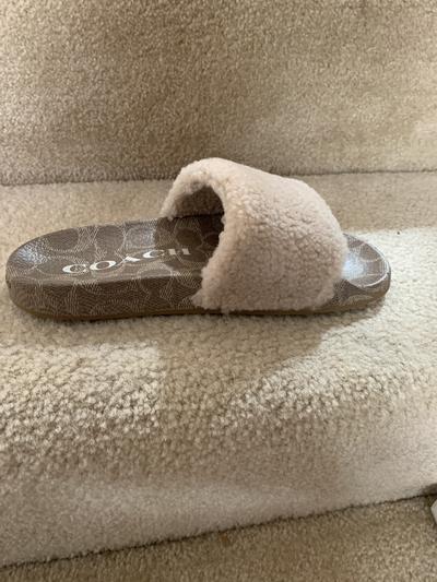 Slide looks like my house carpet