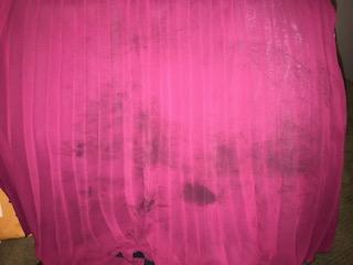 Photo from SK2020