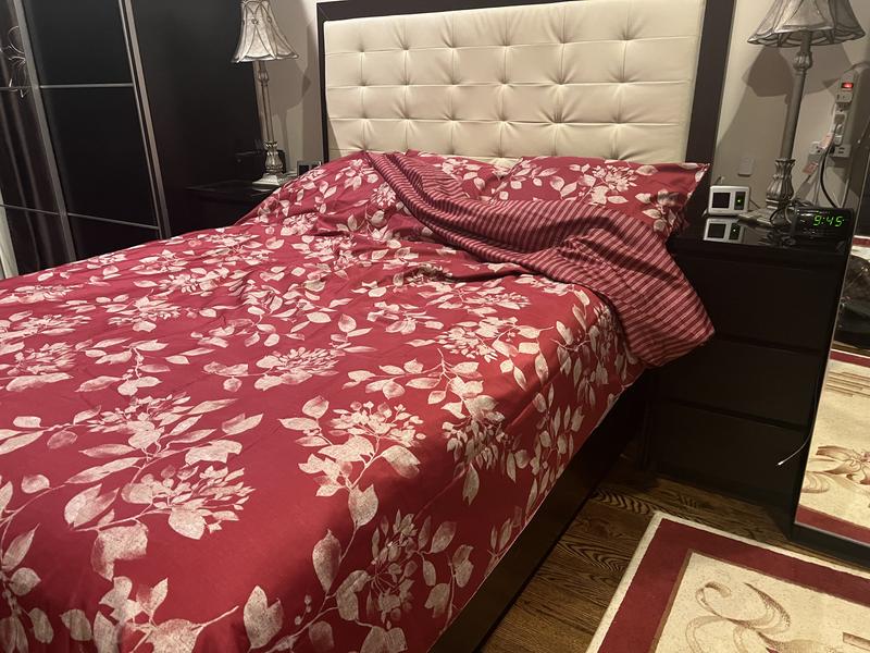 Photo from PickyReviewer