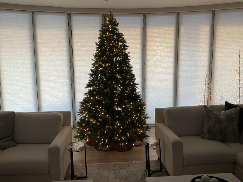 Photo from Cindy B