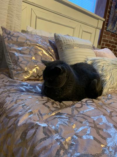 Beautiful Accent Pilllows