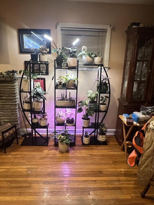 Photo from Macy's customer