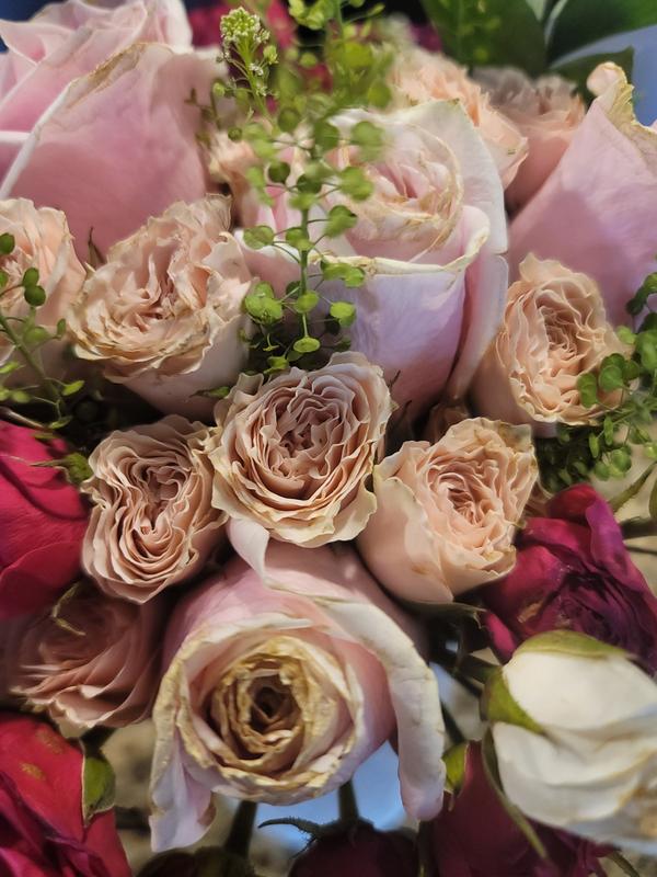 Dismal looking at best