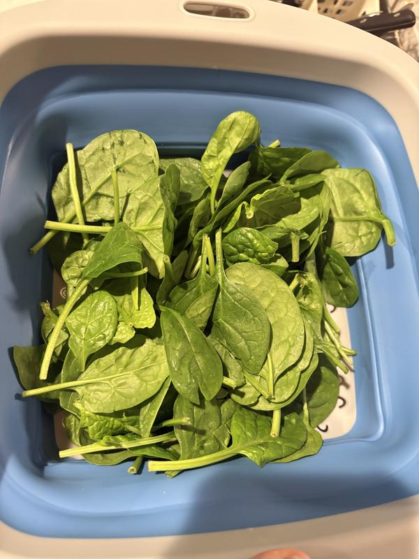 Customer carousel item 12.