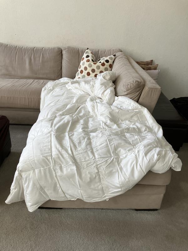 Photo from Soft and Plush