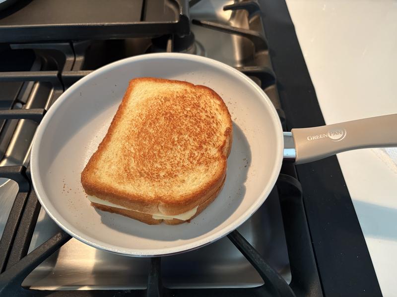 Perfect grilled cheese!