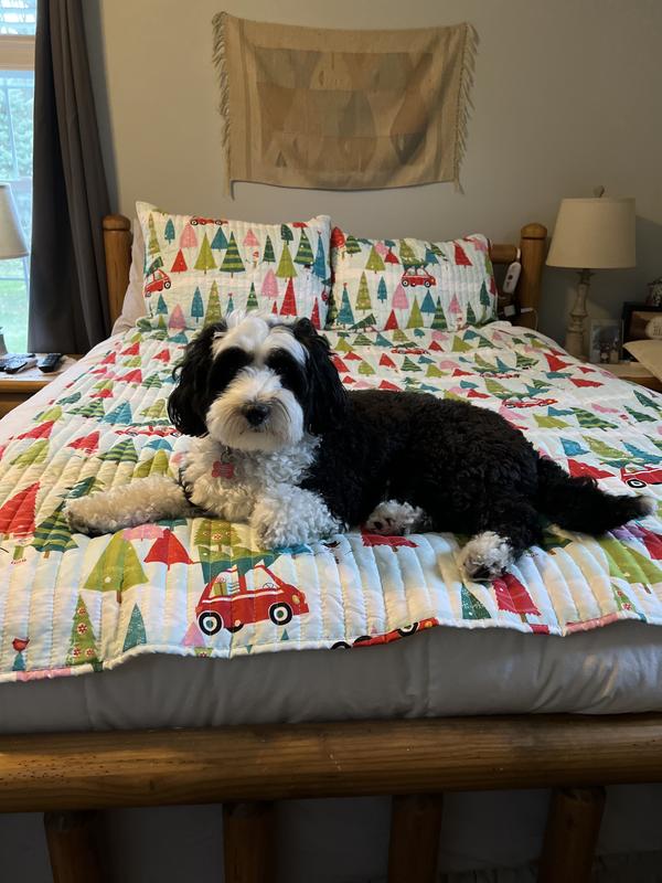 Photo from Macy's customer
