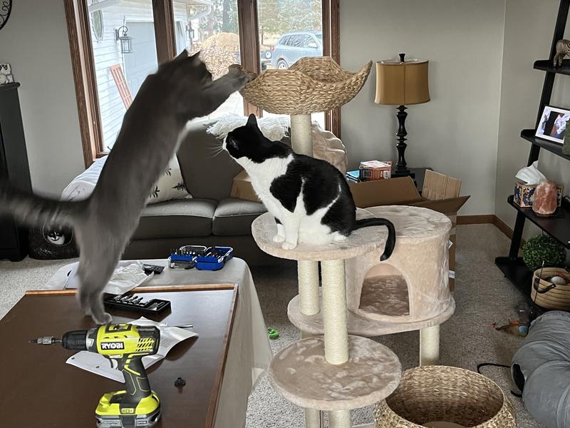Photo from LRaymer