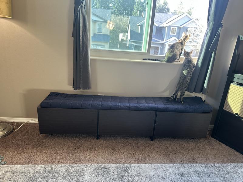 Ended up making a cheap bench for cats for now too low for entertainment console