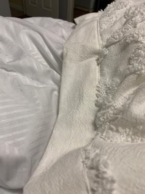 Photo from Trice