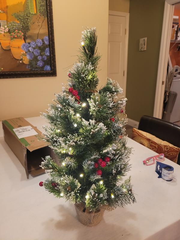 Photo from Care