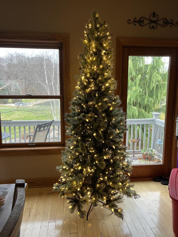 Photo from Sandra Britton